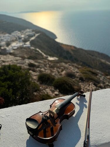 Περισσότερες πληροφορίες για "Stentor Violin 4/4 + extras"