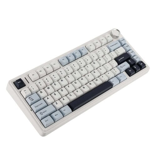 Περισσότερες πληροφορίες για "Πωλείται Aula F75 RGB 75% Ασύρματο/Ενσύρματο Πληκτρολόγιο Μαύρο – Καινούριο, Με Απόδειξη-Εγγύηση"