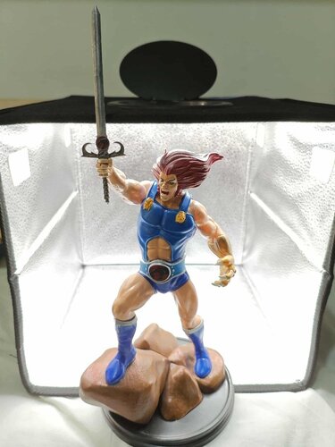 Περισσότερες πληροφορίες για "3D printed resin figure Lion-o από Thundercats"