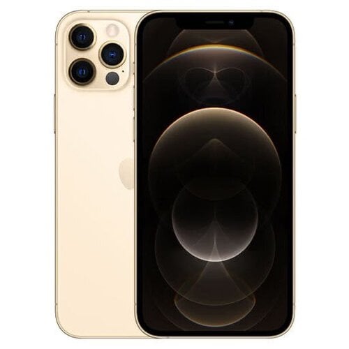 Περισσότερες πληροφορίες για "Apple iPhone 12 Pro Max (Χρυσό/256 GB)"