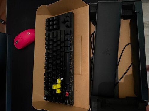 Περισσότερες πληροφορίες για "Razer huntsman v2 esl edition 8k polling rate"