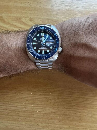 Περισσότερες πληροφορίες για "Seiko padi turtle “Great Blue”"