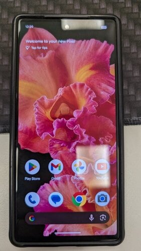 Περισσότερες πληροφορίες για "Google Pixel 6"