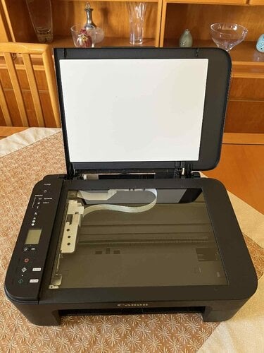 Περισσότερες πληροφορίες για "Canon Pixma TS3150 Έγχρωμο Πολυμηχάνημα Inkjet με WiFi και Mobile Print"