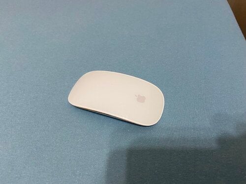 Περισσότερες πληροφορίες για "Apple Magic Mouse 2 (Ασημί, Λευκό/Bluetooth)"