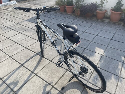 Περισσότερες πληροφορίες για "Ποδήλατο Ideal Ergomax με υδραυλικά V-brakes"