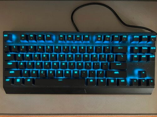 Περισσότερες πληροφορίες για "Razer BlackWidow V3 TKL (χωρίς κουτί)"