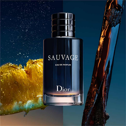 Περισσότερες πληροφορίες για "DIOR - SAUVAGE EUA DE PARFUM"