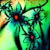 Morx