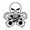 pug206gk