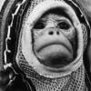 spacemonkey