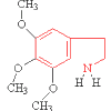 mescaline
