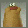 MiRN