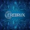 cerebrux