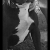 vasilis666