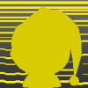 yellow-black madness