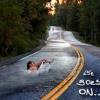 lifegoeson