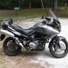 Mpampis v-strom