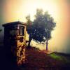 taledo23