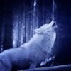 antonio_r
