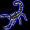 scorp93