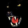 Black_Panther69