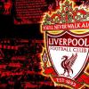 ynwa96
