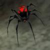 spiderling