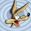 Gerry Koyote