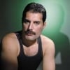 Freddie Mercury