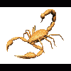 kropilack