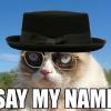 Mr.fluffy