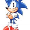 sonic the mohawk