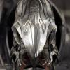 Arbiter13