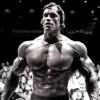 Angel_Shredded