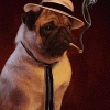 Zormp
