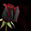 NeraRosa