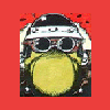 vnomik