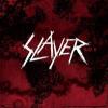 slayer7