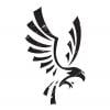 blackraven