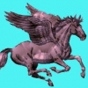 Pegasus54