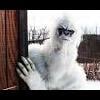 I_am_the_Yeti