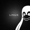gentoo