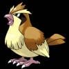 AngryPidgey