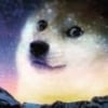 the_doge_whisperer
