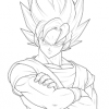 Goku13
