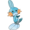 captainMudkip
