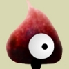 Mopoke