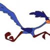 roadrunner81