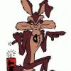Coyotemaister